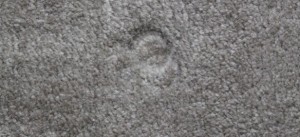 round furniture indentation on carpet