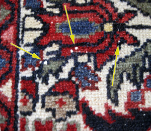 several white knots on handmade rug
