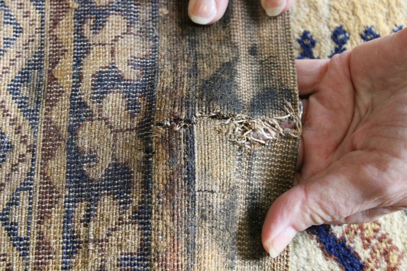 Oriental Rug Flooded? Here's What To Do. - Oriental Rug Salon